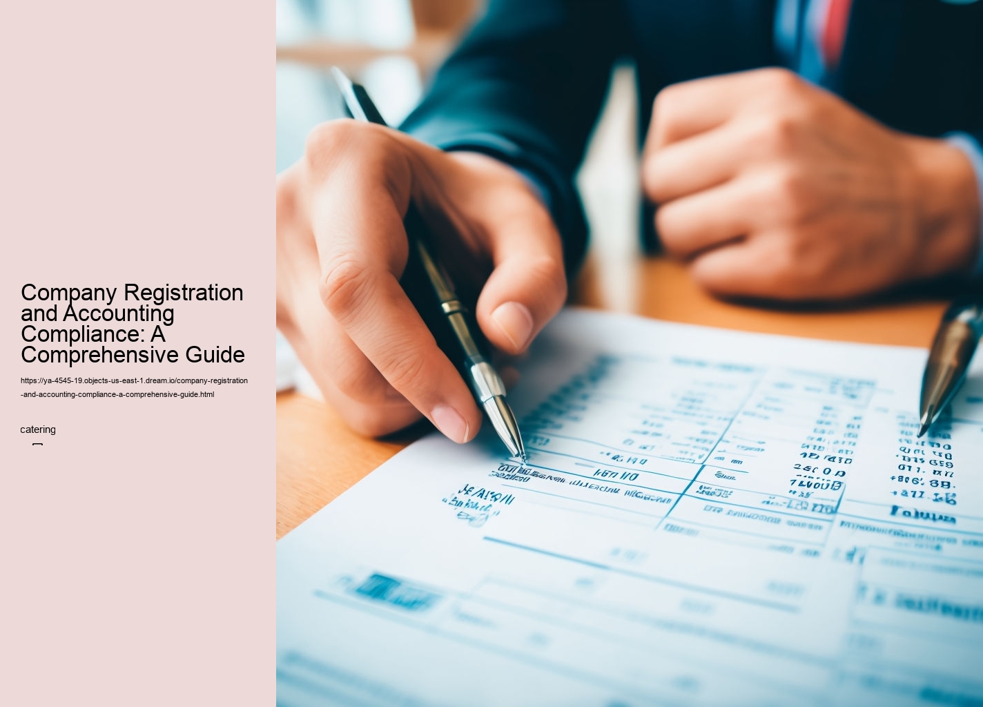 Company Registration and Accounting Compliance: A Comprehensive Guide