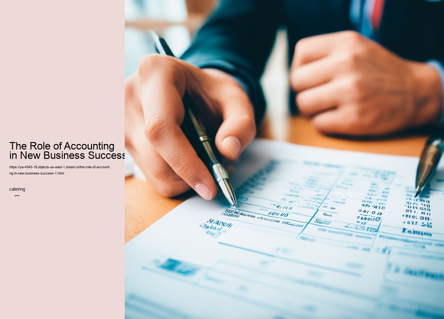 The Role of Accounting in New Business Success